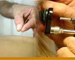 Slider image (8) Willis International Medical Clinic